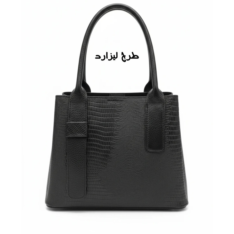 طرح لیزارد